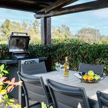 Noah Elysia - Klodge